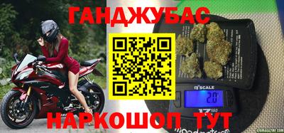 индика Кингисепп