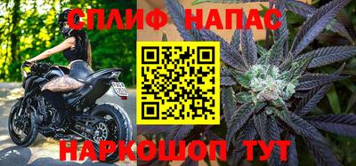 индика Кингисепп