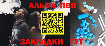 индика Кингисепп
