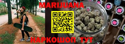 индика Кингисепп