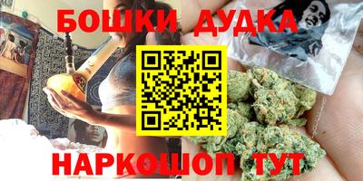 индика Кингисепп