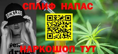 индика Кингисепп