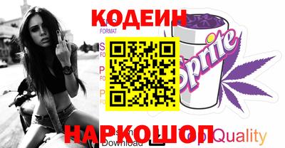 индика Кингисепп