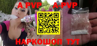 индика Кингисепп