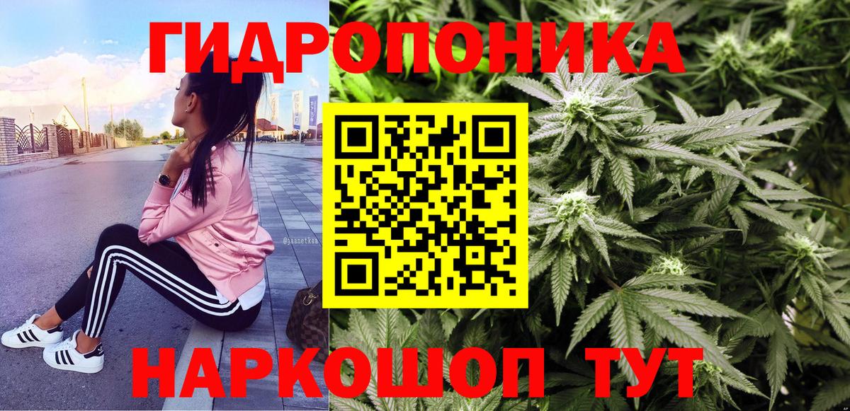 Бошки марихуана конопля  Конопля семена  Канабис Amnesia  Конопля OG Kush  Валуйки  Вход с VPN 